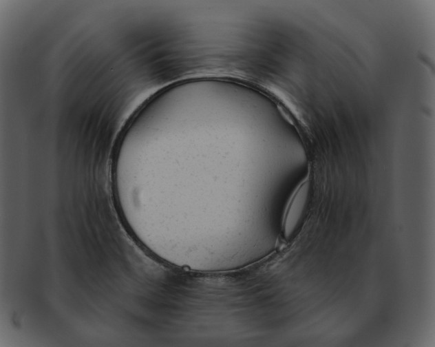 X0000092311468200710051229