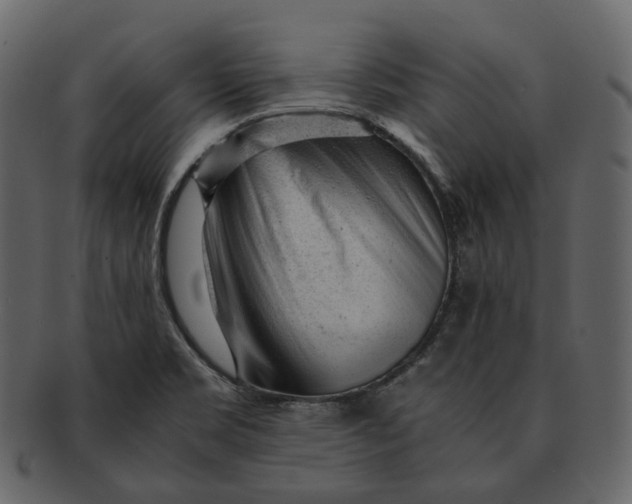 X0000092311469200710051229