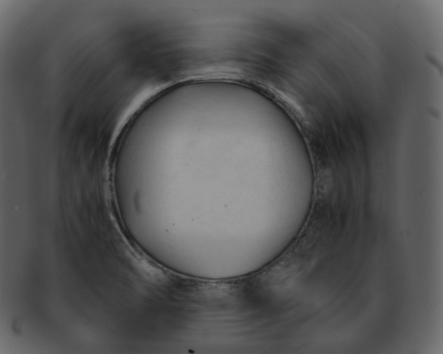 X0000092311470200710051229