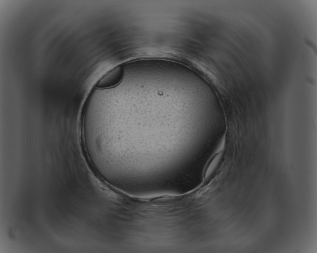 X0000092311471200710051229