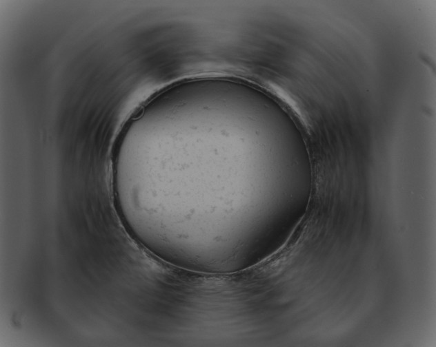 X0000092311472200710051229