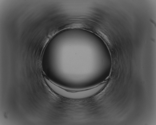 X0000092311473200710051229