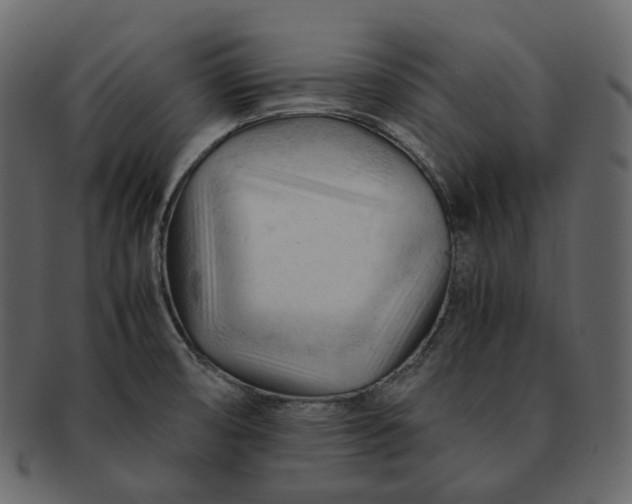 X0000092311474200710051229