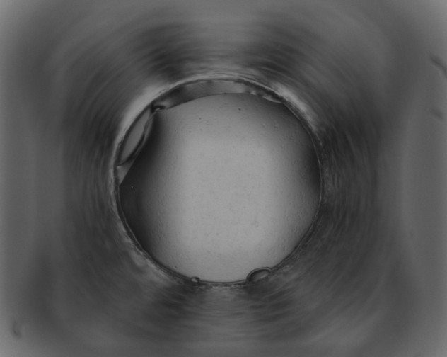 X0000092311480200710051229