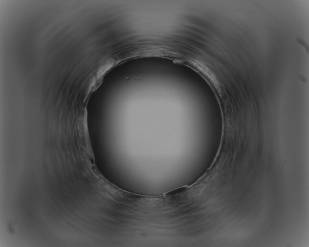 X0000092311481200710051229