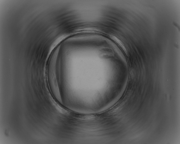 X0000092311482200710051229
