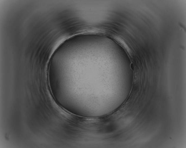 X0000092311483200710051229