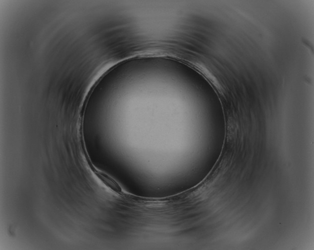 X0000092311484200710051229