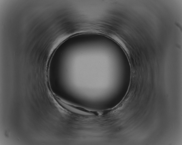 X0000092311485200710051229