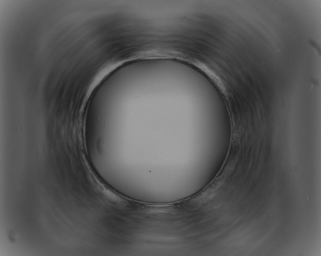 X0000092311486200710051229
