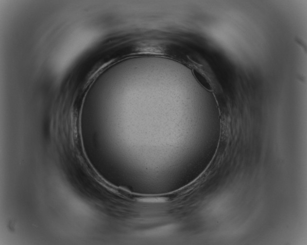 X0000092311487200710051229