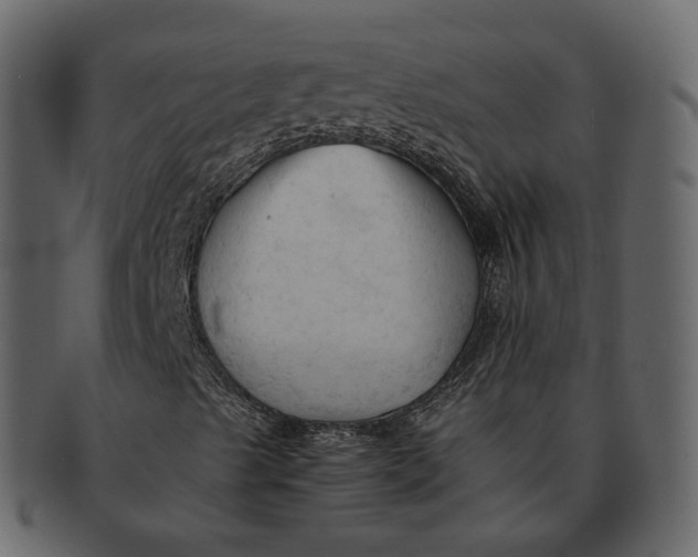 X0000092311489200710051229