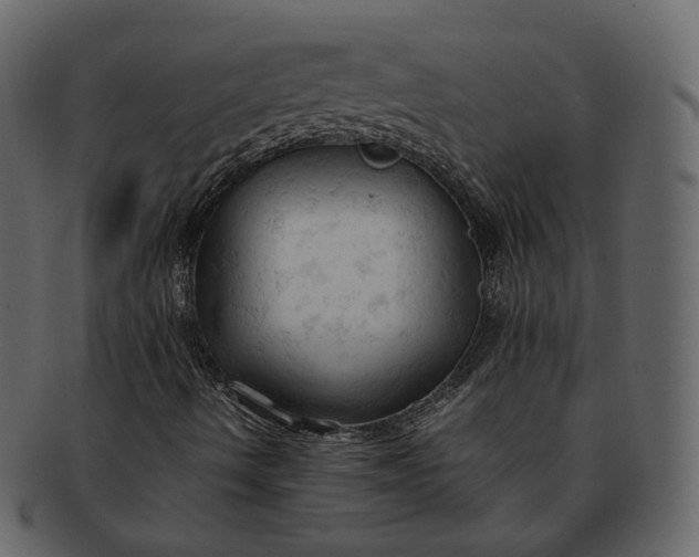 X0000092311490200710051229