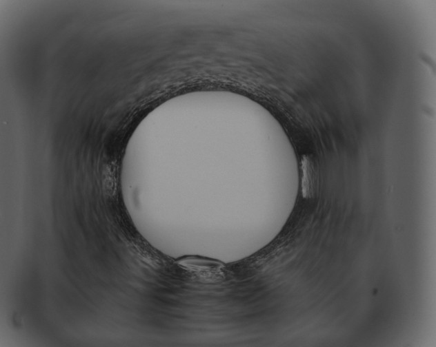 X0000092311491200710051229