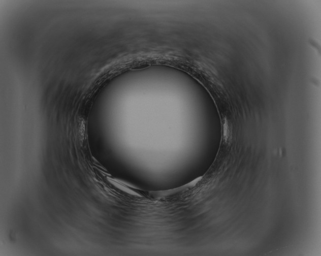 X0000092311492200710051229