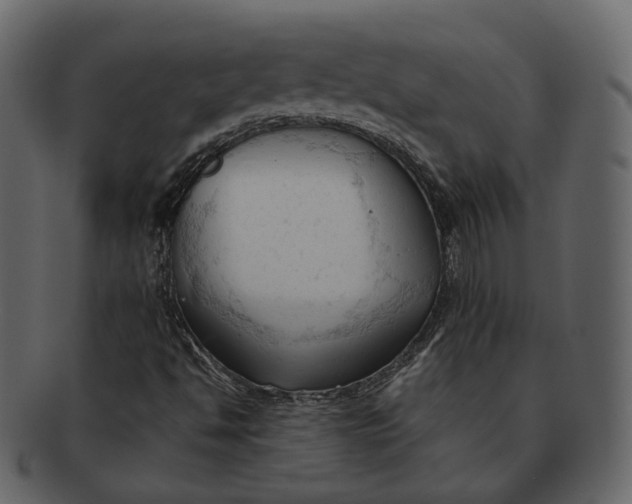 X0000092311494200710051229