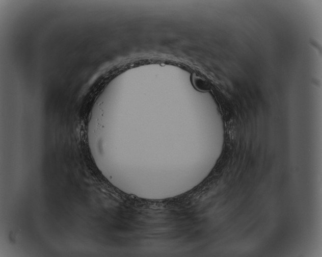 X0000092311495200710051229