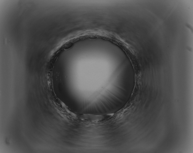 X0000092311496200710051229