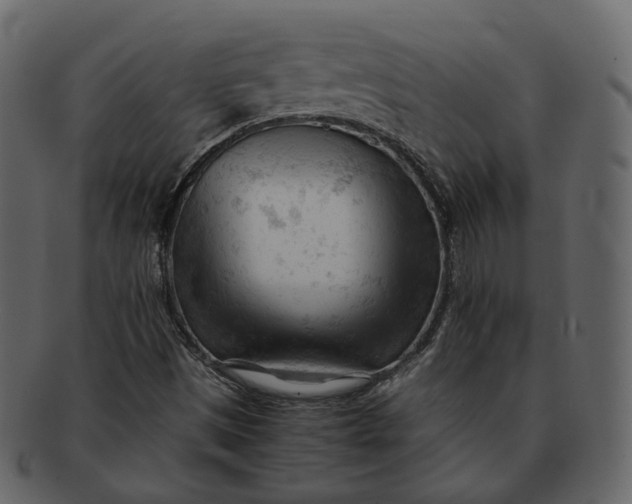 X0000092311497200710051229