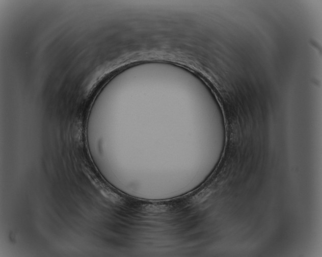 X0000092311499200710051229