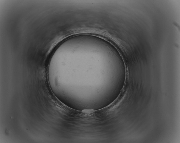 X0000092311501200710051229