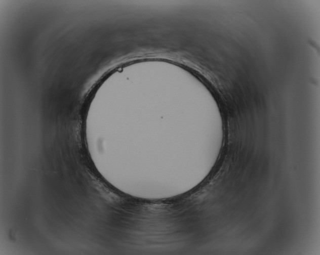 X0000092311502200710051229
