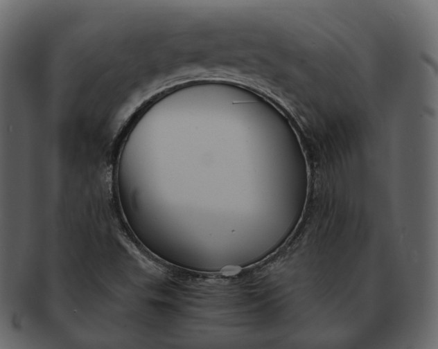 X0000092311503200710051229