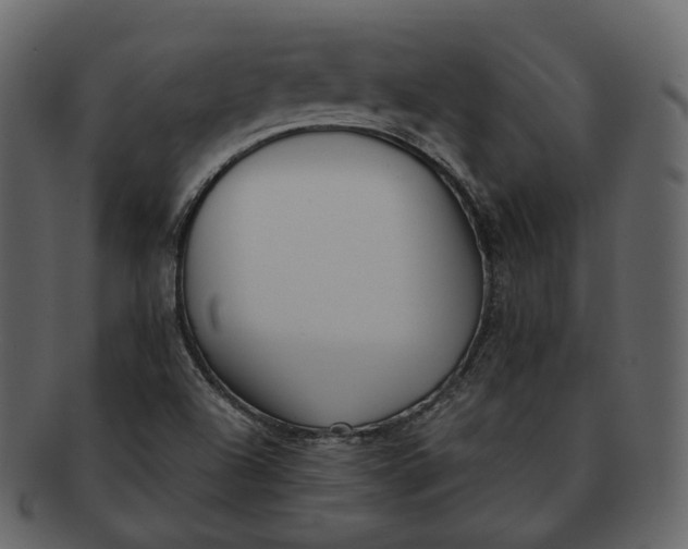 X0000092311504200710051229