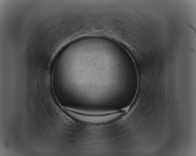 X0000092311506200710051229