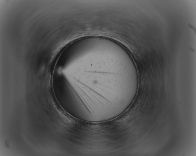 X0000092311507200710051229