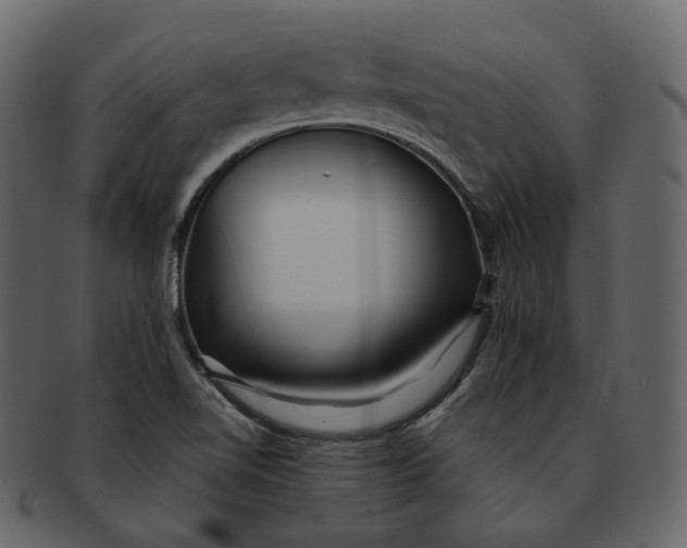 X0000092311510200710051229