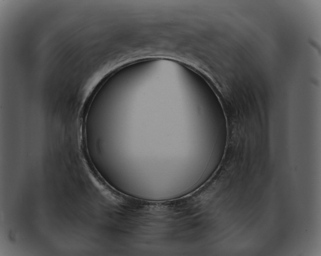 X0000092311511200710051229
