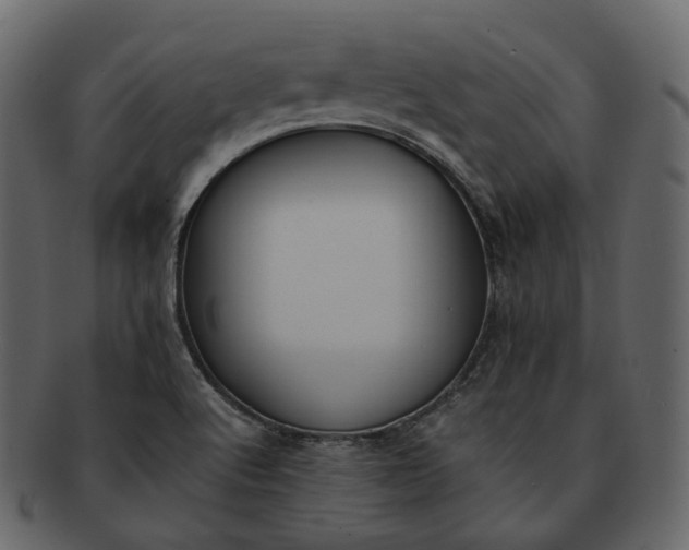 X0000092311512200710051229