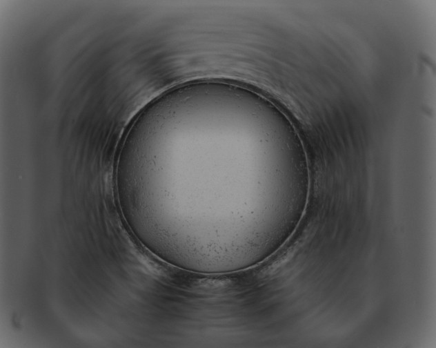 X0000092311513200710051229