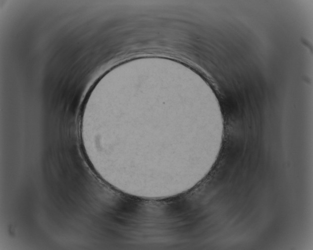 X0000092311514200710051229