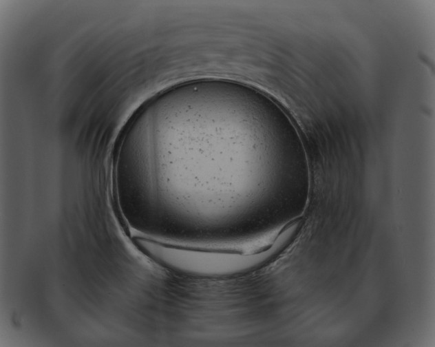 X0000092311515200710051229