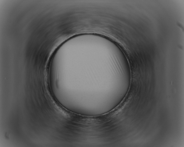 X0000092311517200710051229