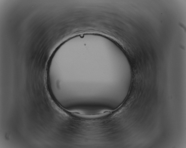 X0000092311518200710051229