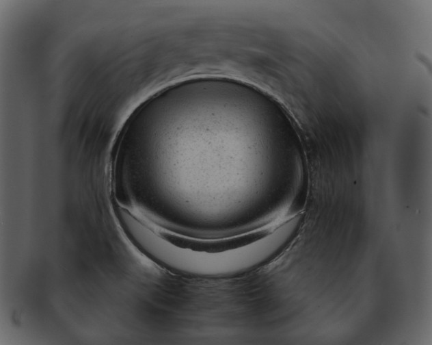 X0000092311519200710051229