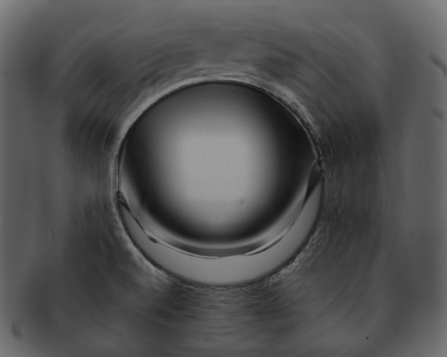 X0000092311520200710051229