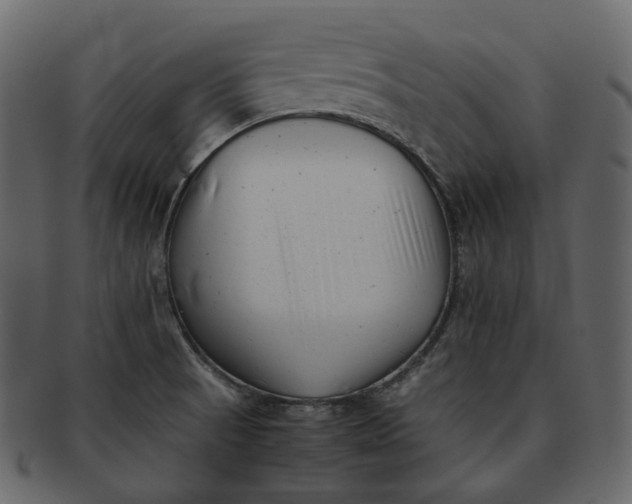 X0000092311521200710051229