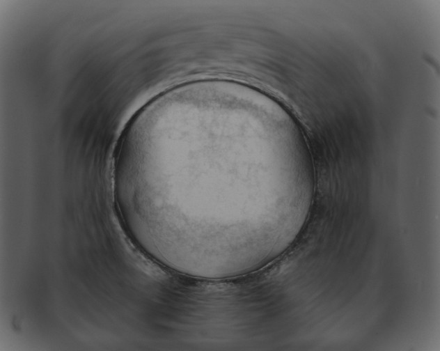 X0000092311522200710051229