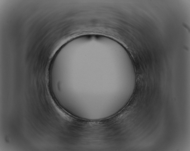X0000092311523200710051229