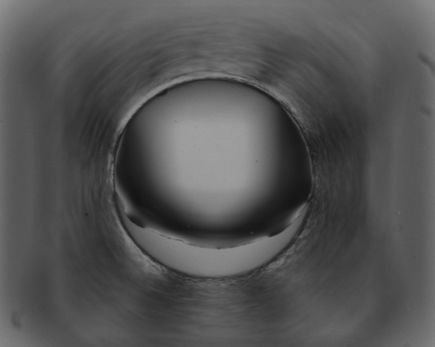 X0000092311524200710051229