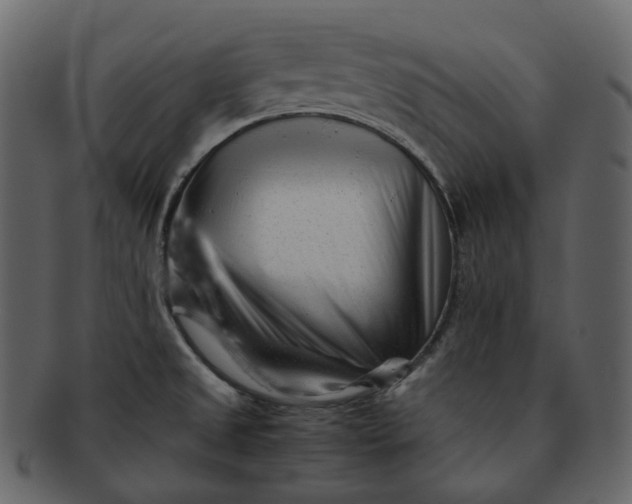 X0000092311525200710051229