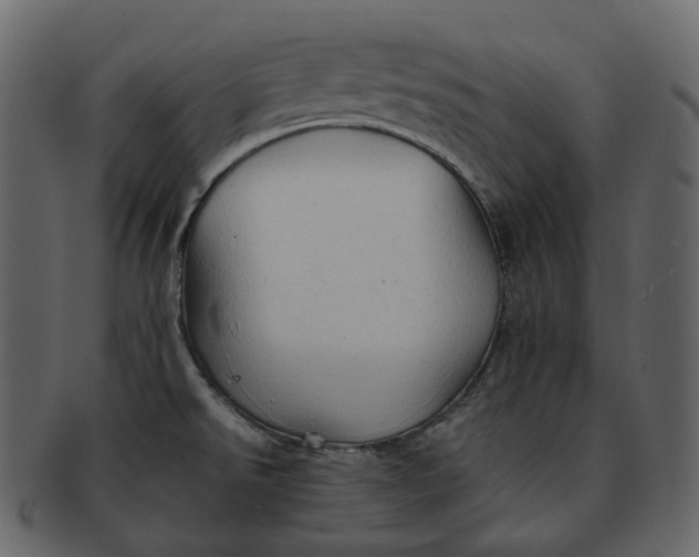 X0000092311526200710051229
