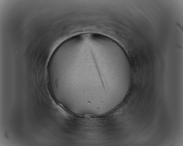 X0000092311527200710051229