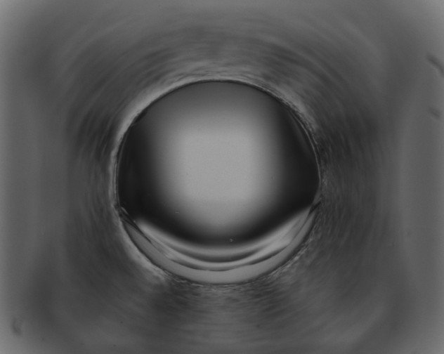 X0000092311528200710051229