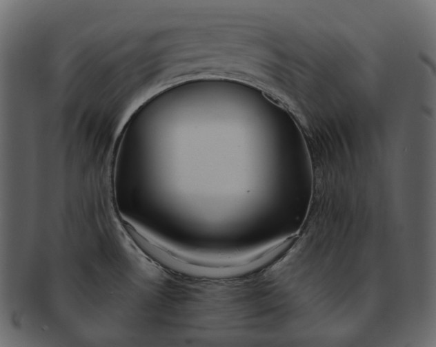 X0000092311530200710051229