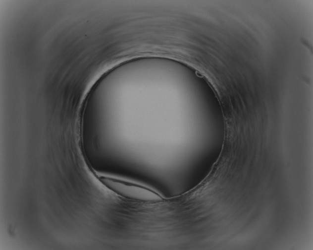 X0000092311531200710051229